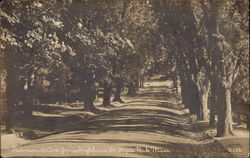 Fairmont Ave. from Highland St Hyde Park, MA Postcard Postcard
