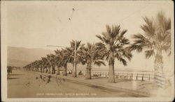 Promenade Santa Barbara, CA Postcard Postcard