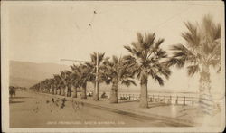 Promenade Postcard