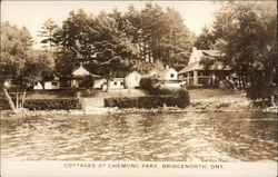 Cottages at Chemong Park Postcard