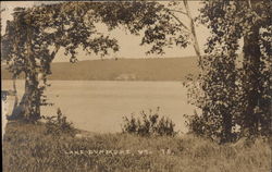 View Over Lake Dunmore Vermont Postcard Postcard