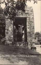 The Constitution Elm Shrine Corydon, IN Postcard Postcard