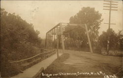Bridge over Shiawassee River Postcard