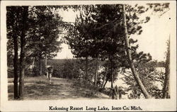 Kokosing Resort Postcard