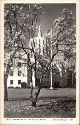 Springtime at the State Capitol Salem, OR Postcard Postcard