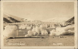 Taku Glacier Juneau, AK Postcard Postcard