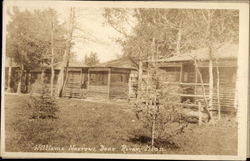 Williams Narrows with Trees and Cabins Deer River, MN Postcard Postcard