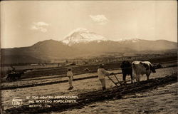 Stock #277356 Thumbnail