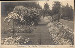 Benvenuto, The Butchart Gardens Postcard
