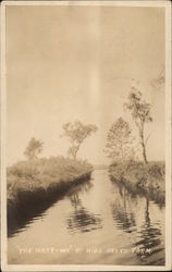 The Narrows at High Grove Farm Postcard