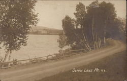 Swan Lake Postcard