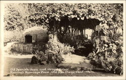 Old Spanish Oven and Grape Arbor, Ramona's Marriage Place Postcard