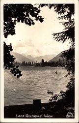 View of Lake Quinault Washington Postcard Postcard