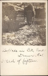 Stock #277433 Thumbnail