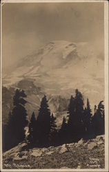 Mount Rainier Washington Postcard Postcard