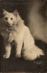 Stock #277553 Thumbnail