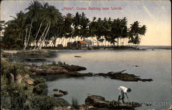 Piuta - Ocean Bathing Limon Costa Rica Central America