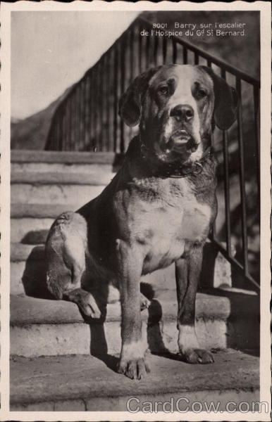 Barry on the Steps of the Great St Bernard Hospice Switzerland