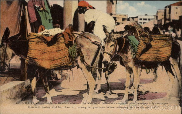 Marchande de Charbon Haiti Caribbean Islands