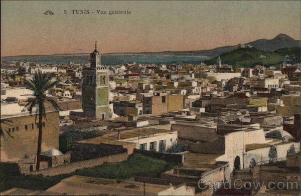 General View Tunis Tunisia Africa