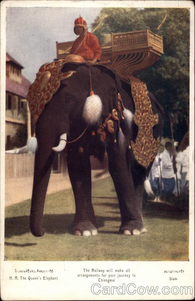 H.M. The Queen's Elephant Thailand Southeast Asia