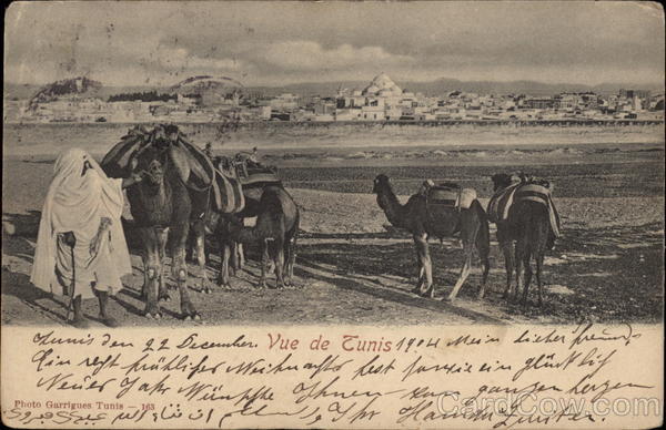 Vue de Tunis Tunisia Africa