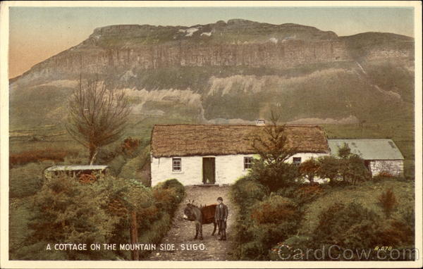 A Cottage on the Mountain Side, Sligo Ireland