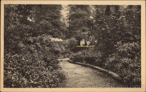 Royal Botanic Gardens, Kew London England