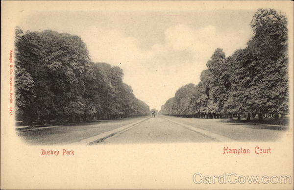 Bushey Park, Hampton Court London England