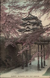 Cherry Blossom and Old Castle Postcard