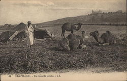 Un Gourbi Arabe Postcard