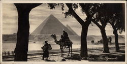 The Pyramids Postcard