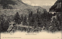 Tete noire et Finhaut Postcard