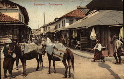 Carsijsparlie Postcard