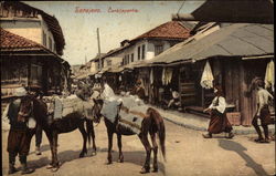 Carsijsparlie Sarajevo, Bosnia and Herzegovina Eastern Europe Postcard Postcard