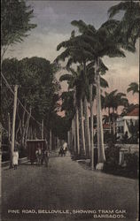 Stock #277868 Thumbnail