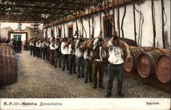 Borracheiros Postcard