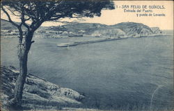 Entrada del Puerto y punta de Levante Postcard