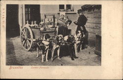 Laitiere Flamande Postcard