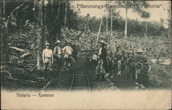 The Pflanzungs-Gesellchalt Victoria Postcard