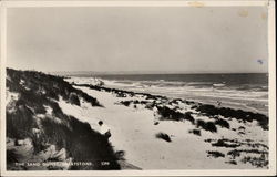 The Sand Dunes Postcard