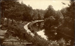 Piestock Wood Aldershot, England Hampshire Postcard Postcard