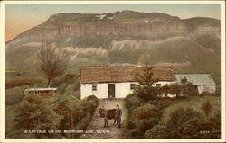 A Cottage on the Mountain Side, Sligo Ireland Postcard Postcard