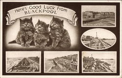 Various Views of Town Blackpool, England Lancashire Postcard Postcard