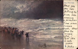 Wild Weather Postcard