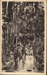 Palm House, Royal Botanic Gardens, Kew London, England Postcard Postcard