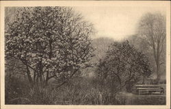 Royal Botanic Gardens Postcard