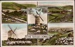 Various Views of the Sussex Downs Brighton, England Postcard Postcard