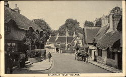 Shanklin Old Village Postcard