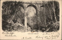 Scenic View of Cartland Bridge Postcard